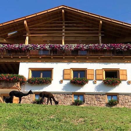 B&B Belvedere Daiano Exteriör bild